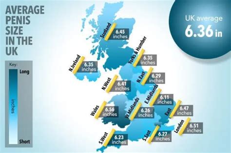 penis englisch|average english penis size.